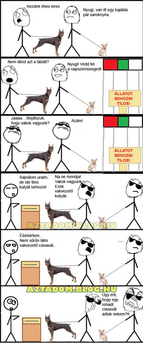 csivavavakvezeto.jpg