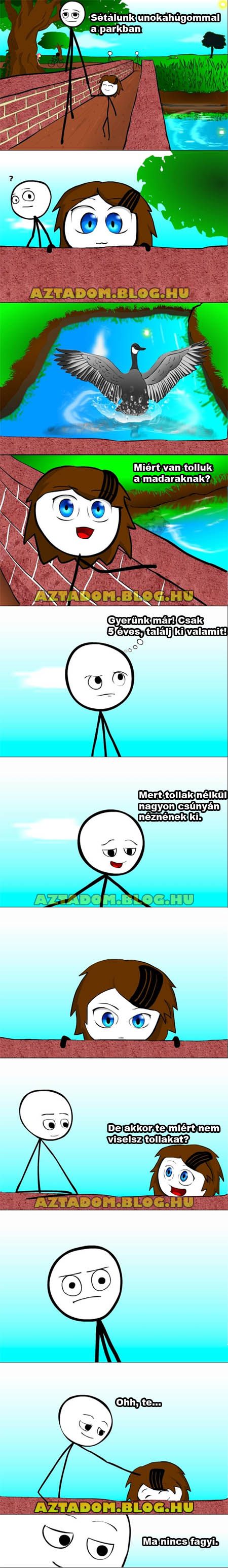 madarktolla.jpg