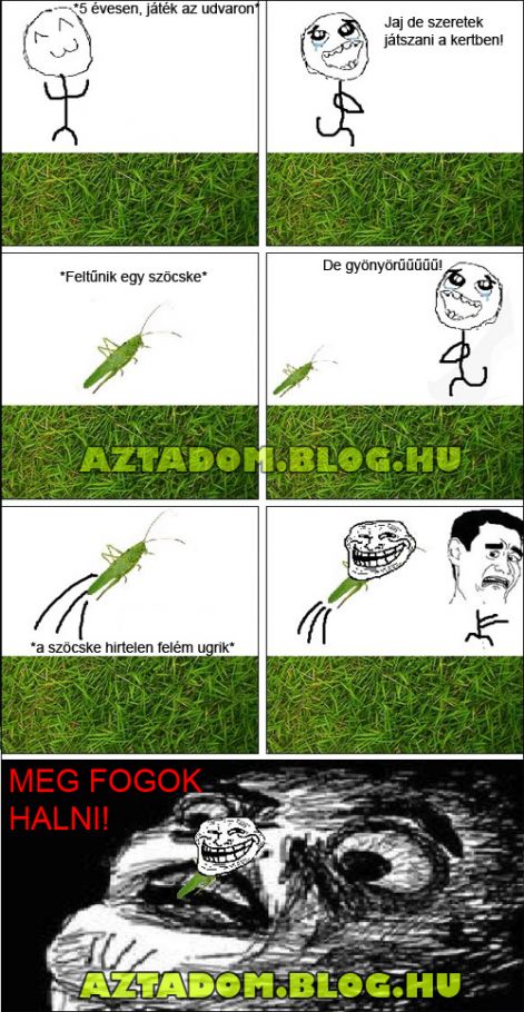 szocskekertben.jpg